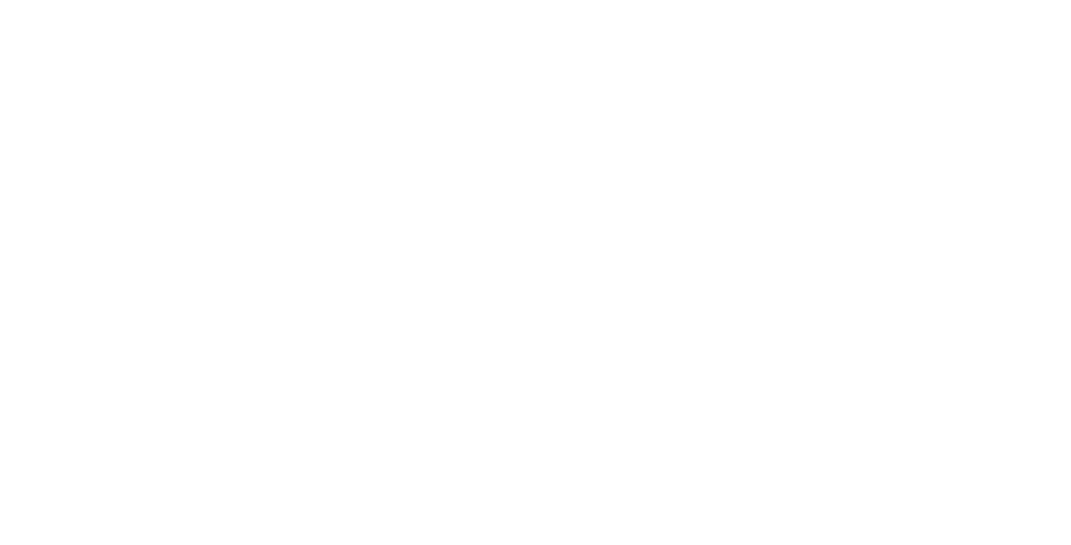 MOLINI Logo